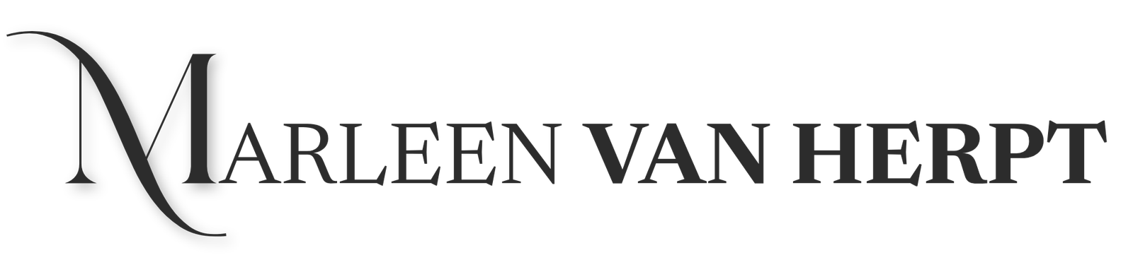 Marleen van Herpt | NEI, Systemisch Coachen